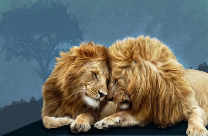 Two lions nuzzling in a forest setting