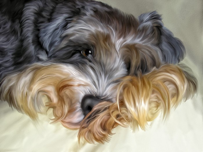 Painting of a Lhasa Apso dog