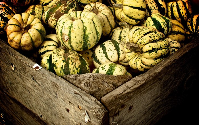 Rustic Wooden Crate Filled with Miniature Pumpkins