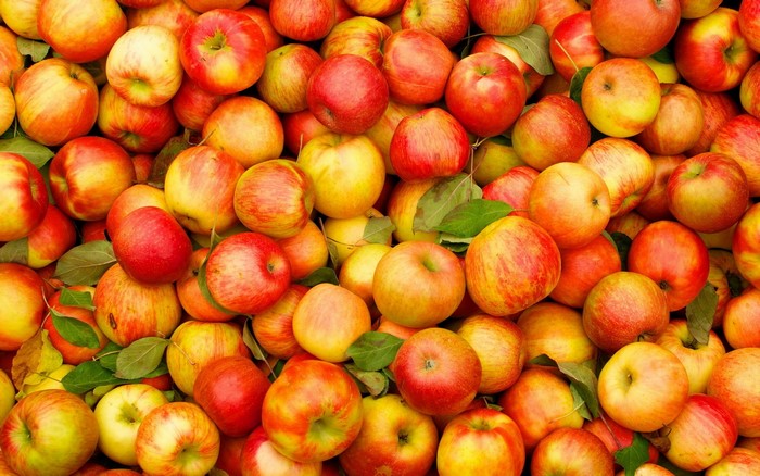 A large pile of red and yellow apples