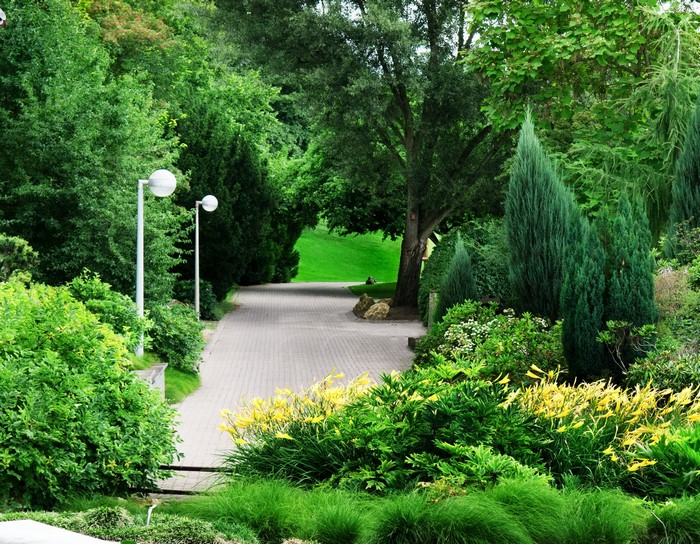 Park pathway with trees and shrubs
