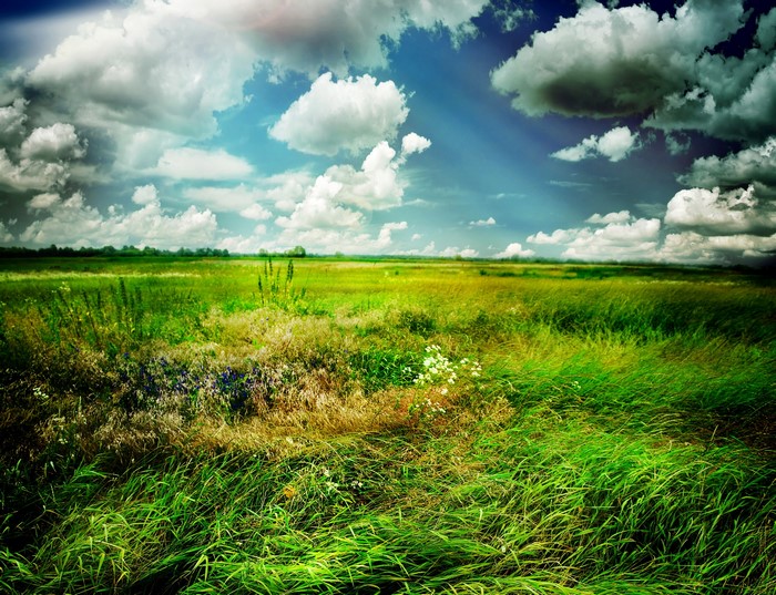 Vast green field under a dramatic cloudy sky