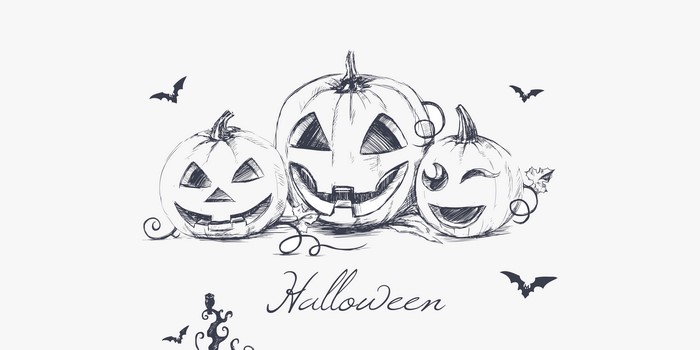 Halloween pumpkins and bats illustration
