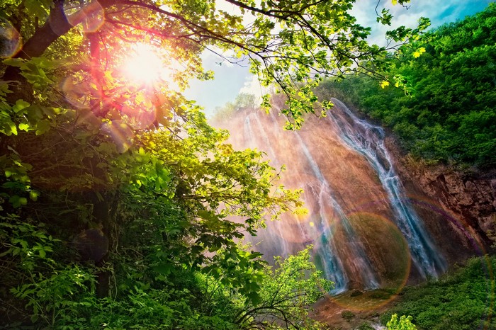 Sunlight Rays Through Trees Onto Waterfall