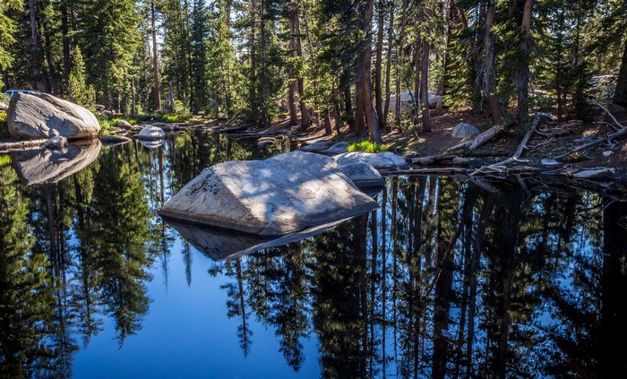 Yosemite National Park Lake with Trees and Rocks