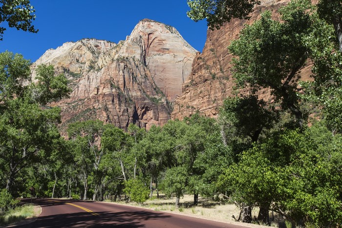 Road through Zion National Park with sandstone cliffs