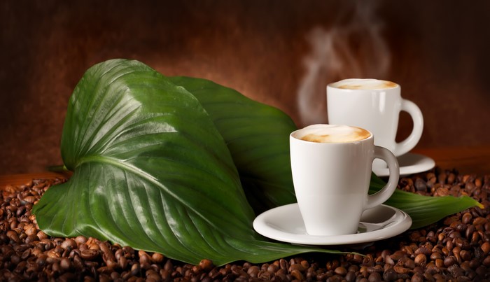 Two cups of coffee with steam and green leaves