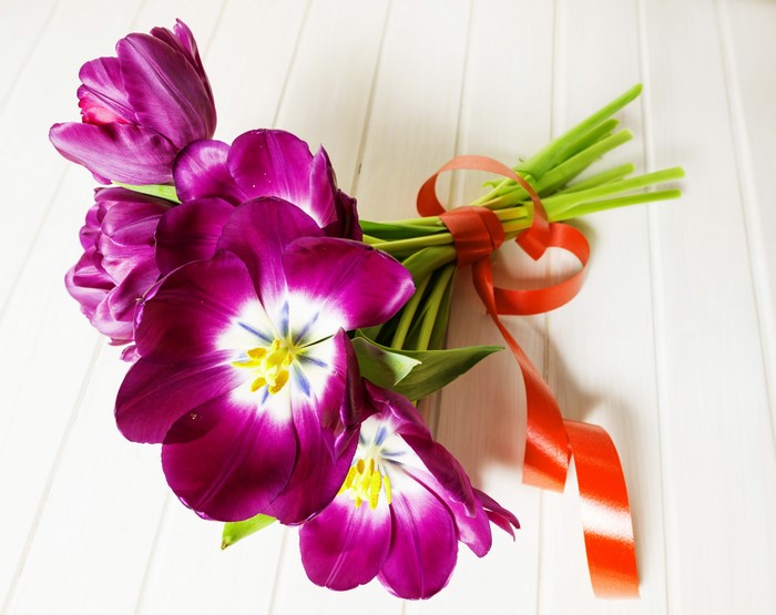 Purple Tulips with Red Ribbon