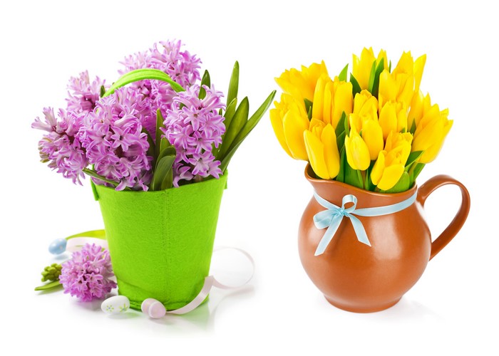 Pink Hyacinths in green bucket and yellow tulips in jug