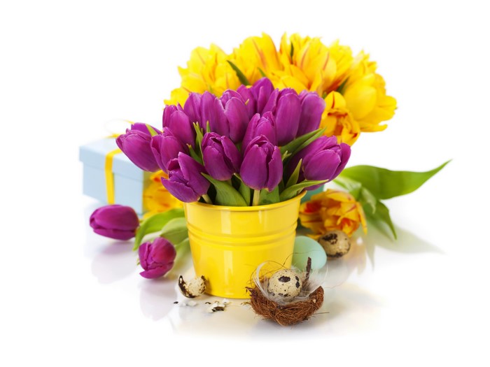 Purple and yellow tulips with Easter eggs