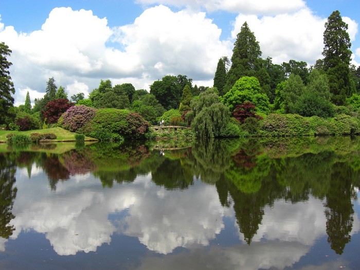Lake and trees reflection in Sheffield, England