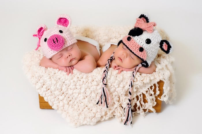 Two Newborn Babies in Animal Hats Sleeping