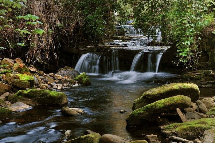 Waterfalls flowing over moss-covered rocks in a forest