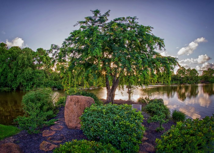 Morikami Japanese Garden with Pond and Trees