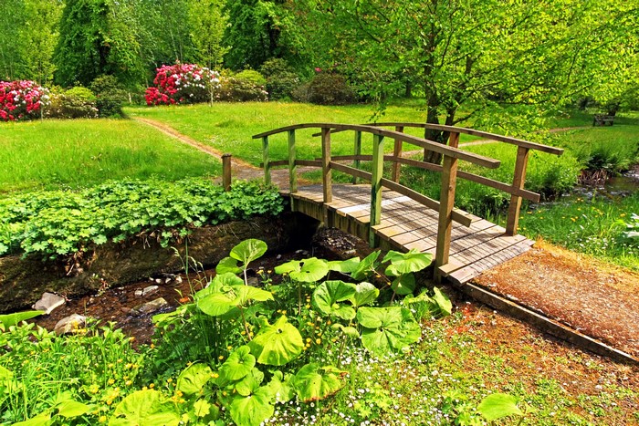 Wooden bridge over a stream in a park with flowers