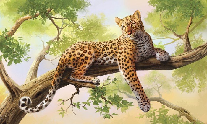 Leopard resting on a tree branch