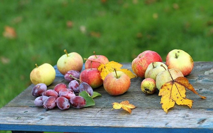 Apples and plums on a wooden table with autumn leaves