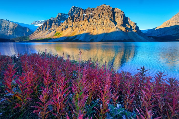 Bow Lake and Mountains in Banff National Park, Canada