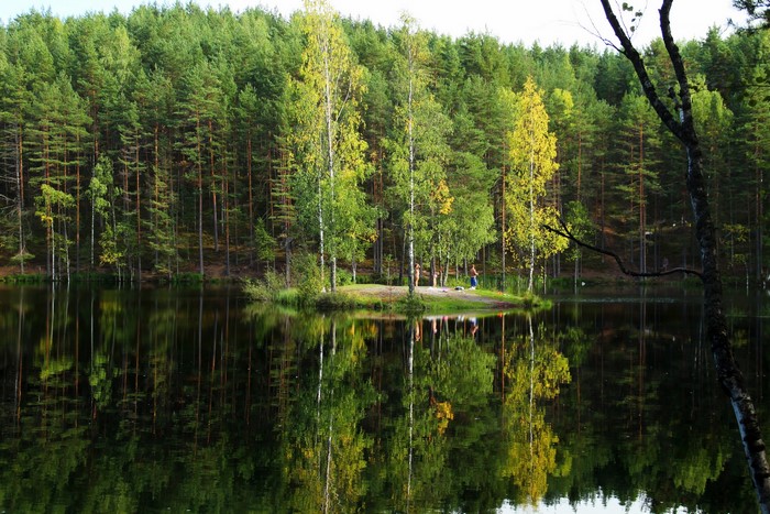 People on a small island in a lake with a forest background