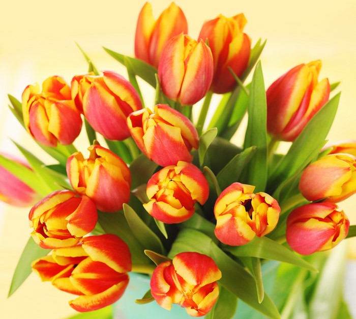 A bouquet of red and yellow tulips