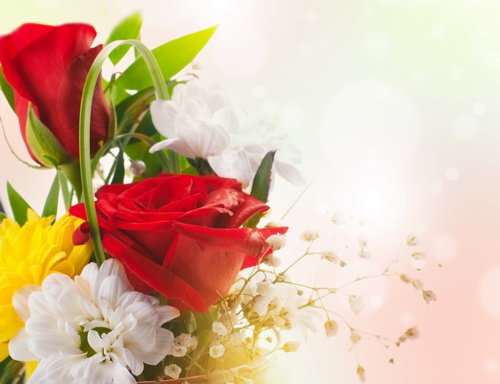 Red Roses and White Chrysanthemums Bouquet
