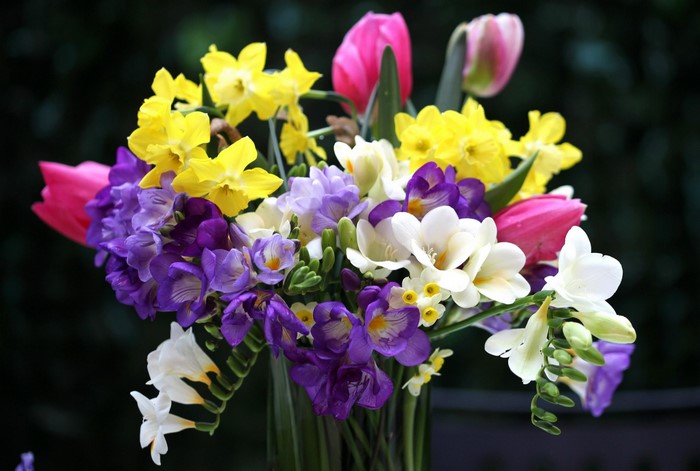 Bouquet of Freesia, Daffodils, and Tulips