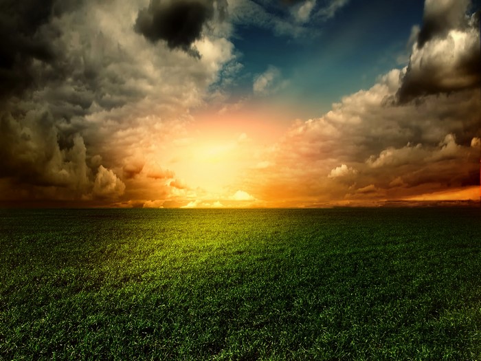 Green field under a dramatic sunset sky with clouds
