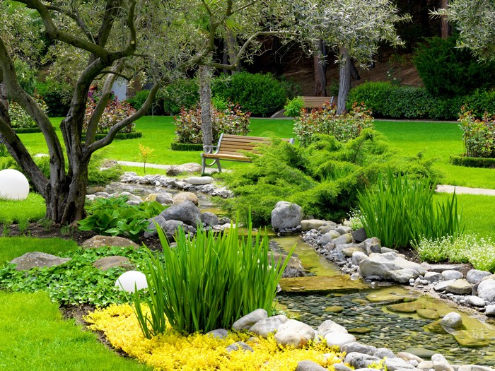 Park stream with stones, shrubs, and grass