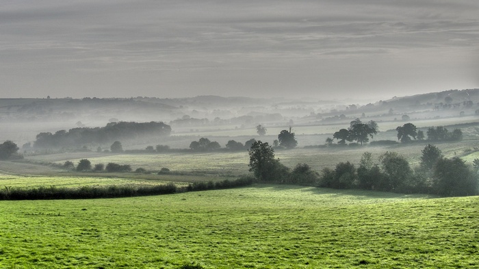 Misty rolling hills and green fields at dawn