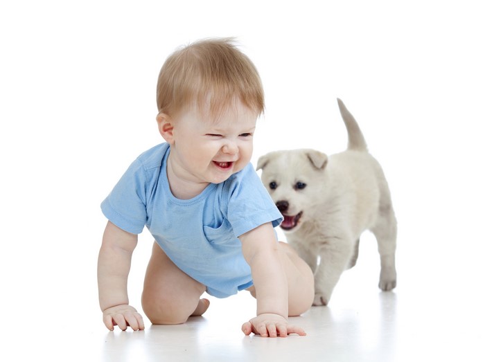 Baby crawling with a puppy