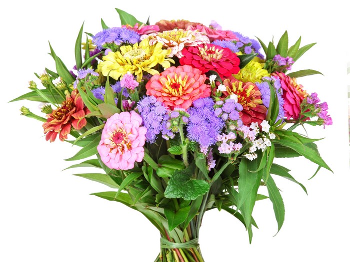 Bouquet of Zinnias and Wildflowers