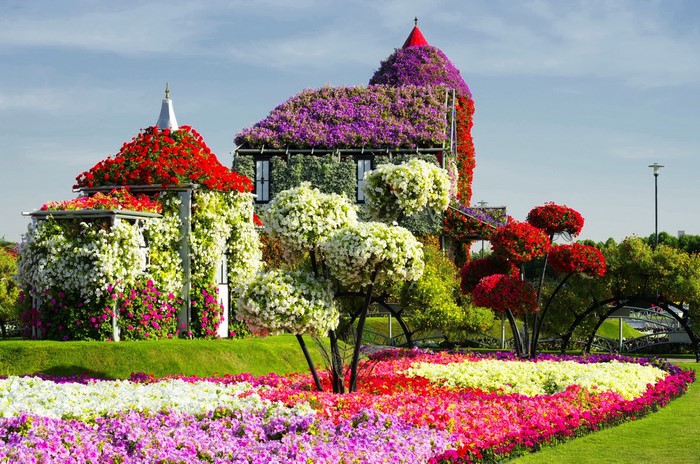 Miracle Garden Dubai UAE floral structures