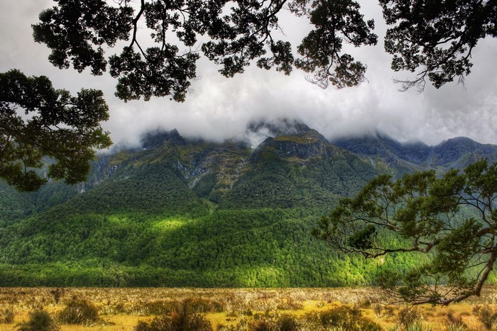Mountains and forest in Southland, New Zealand