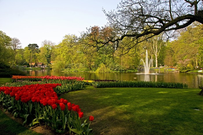 Tulip garden with pond and fountain in Lisse, Netherlands