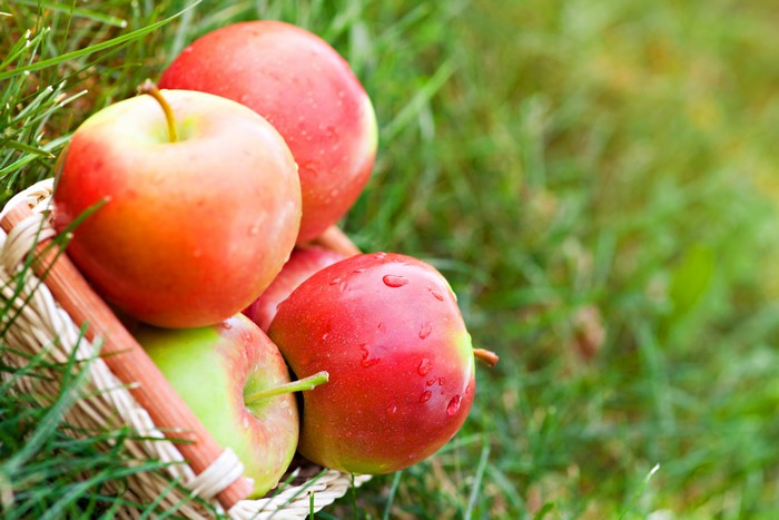 Apples in a Wicker Basket on Grass