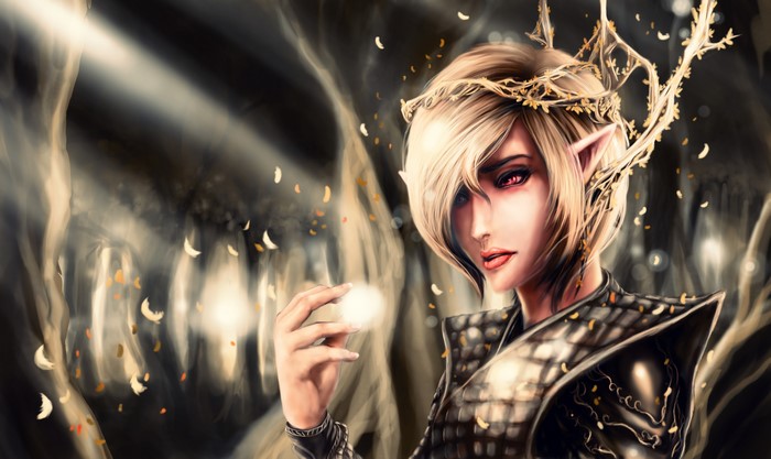 Elf with crown and armor holding light