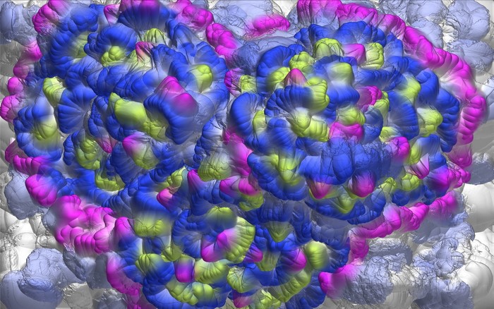 Abstract heart shape with colorful organic forms
