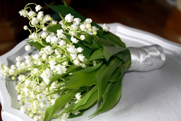 Bouquet of lilies of the valley tied with a satin ribbon