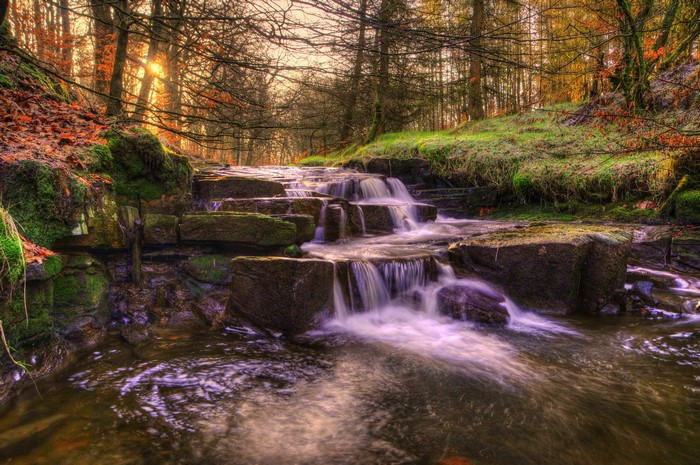 4K Waterfalls in Roddlesworth Forest, England
