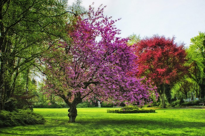 Park with blooming trees in Ahlen, Germany