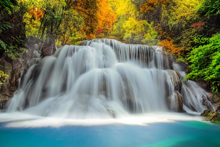 Waterfall in a colorful forest