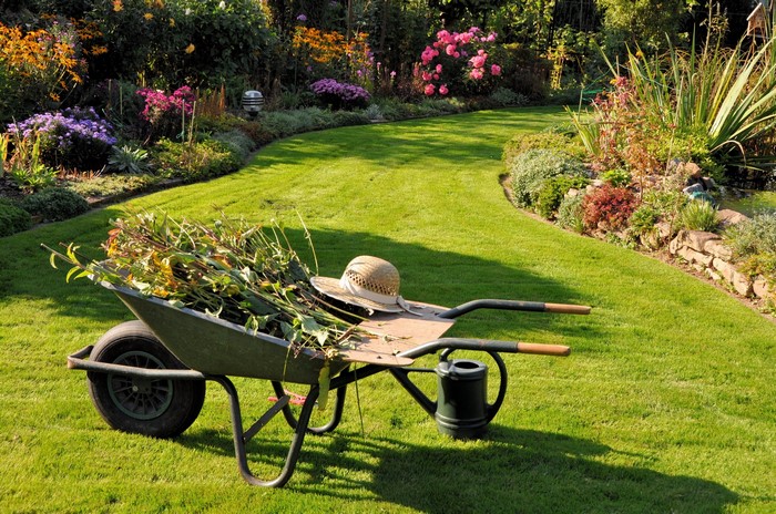 Wheelbarrow with garden trimmings and straw hat on lawn