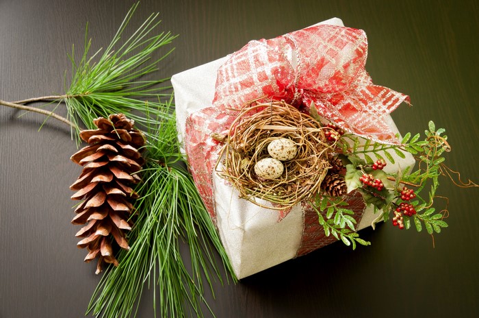 Christmas gift with pine cone and nest
