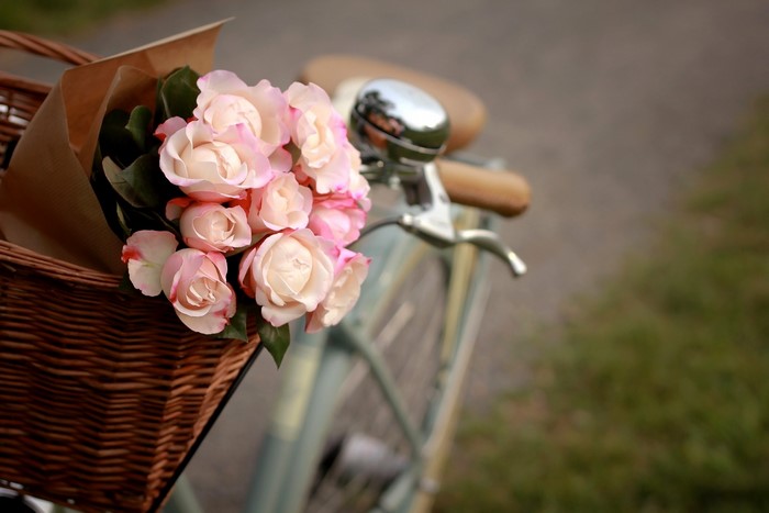 Pink roses in a bicycle basket