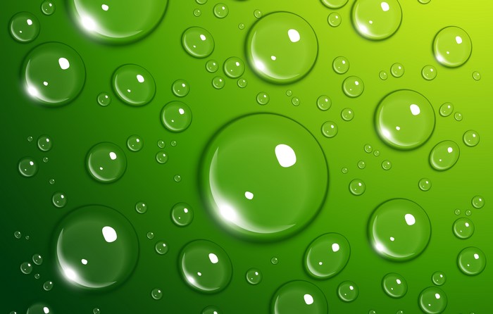Water Drops on Green Surface