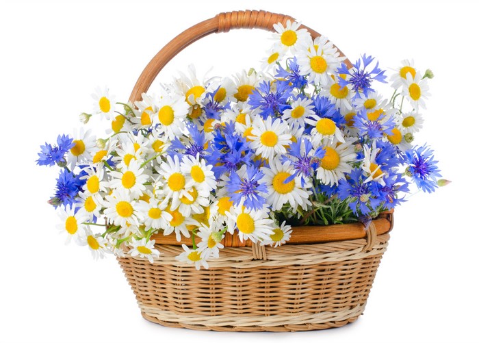 Bouquet of Camomiles and Cornflowers in a Wicker Basket