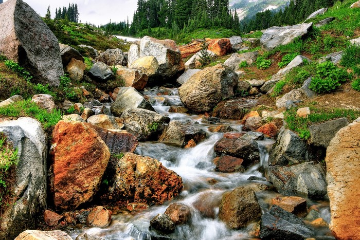 Rocky mountain stream with pine trees and snow