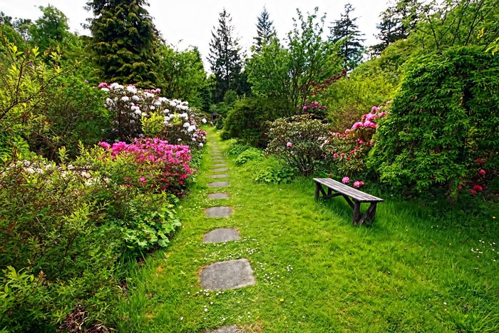 Garden path with rhododendrons and a bench