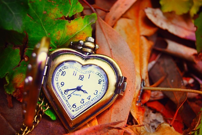Heart-shaped pocket watch on autumn leaves