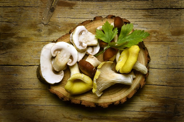 Mushrooms on a wooden slice